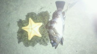 ほーらほら!! 2011/11/17 23:12:09