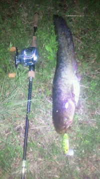 焦り魚念 2012/05/08 10:53:37