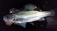 ドラ〜〜マ_(._.)_ 2011/08/01 08:22:23