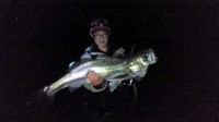 カズ君ゴメーン(*ﾟ▽ﾟ)ﾉ 2011/08/26 03:03:56