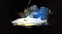 タカが目の前から消えた(ﾟωﾟ) 2011/10/09 13:23:36
