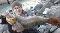明けましておめでとうございま～す☆彡 2012/01/01 09:54:29