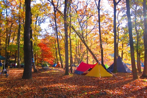 ☆女子キャンプ～野空と森の文化祭～☆