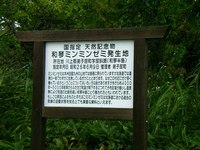 沈？！