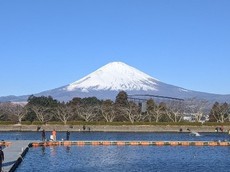 行きたかったけど仕方がない