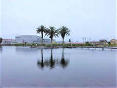 幸運にも雨には降られず