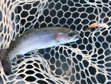 2週間ぶりの釣行は天気に翻弄され気味