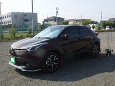 明日もお休み、かな??