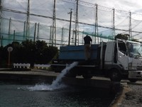 風強めでしたが、挑みました