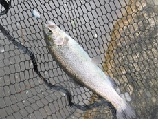 2022/5/14　平谷湖フィッシングスポット…その2