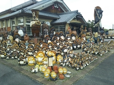 大量のタヌキ