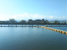 釣りはせずとも東山へ