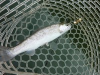 難しい。。。