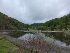 微妙な天気ですが、今週も釣行しております