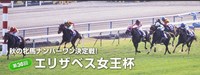 7週連続GⅠ開幕、エリザベス女王杯!!