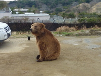 南紀白浜へ行ってきました…その1