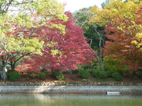 紅葉の嵐山フィッシングエリア