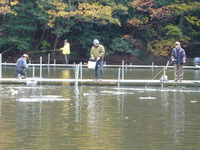 2011/11/27　岡崎トラウトポンド