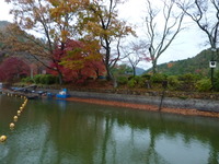 2週間ぶりの嵐山