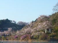 テクニカルな嵐山