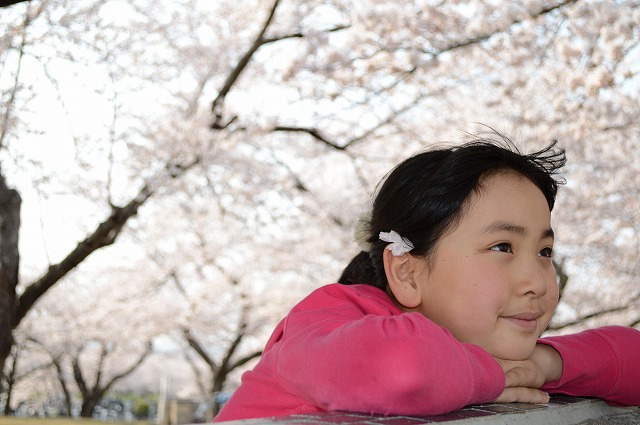 桜の季節