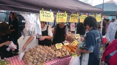 八戸来たなら舘鼻岸壁朝市におんでやんせ～（´・ω・｀）ノ