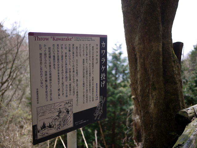 お花見or野駆け・・・どちらをとります？
