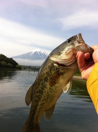 厳しいかった～