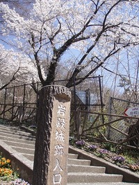 岩殿山(2011.4.14) 2011/05/30 21:07:28
