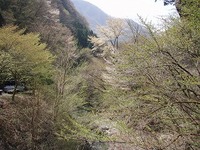 川苔山(2011.4.27) 2011/05/30 23:14:29