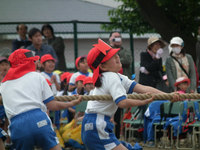 兄妹最後の運動会