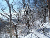 スノーハイクと山小屋泊【岩手県遠島山】～後編～