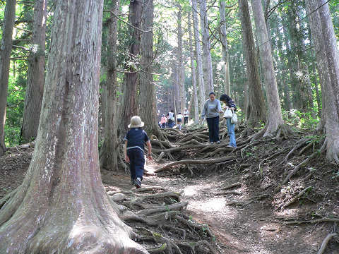 虚空蔵山まつり