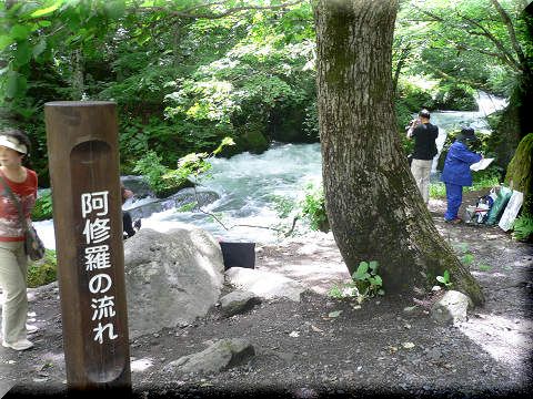 【奥入瀬渓流】プチトレッキング