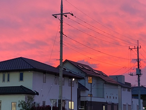 藤林道