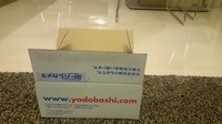デビュー