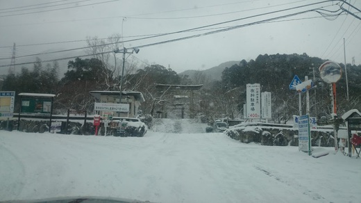 記憶に無い