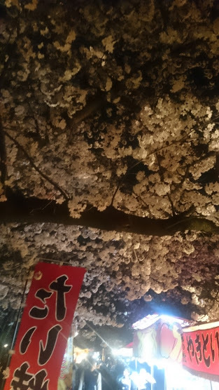 桜とキャンプと