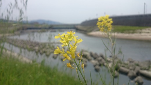 天満宮と九博