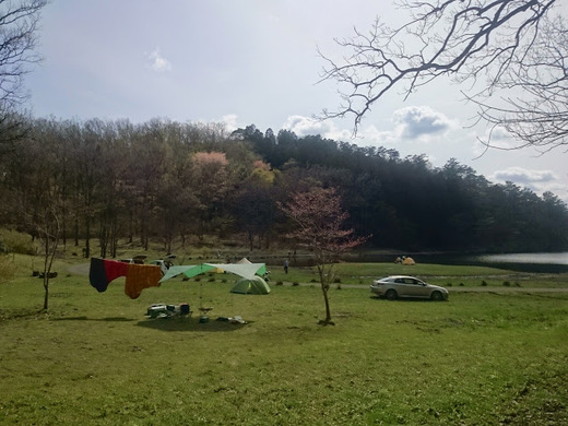 キャンプと物欲