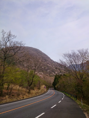 キャンプと物欲