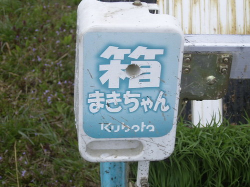 まきちゃんは働きもの