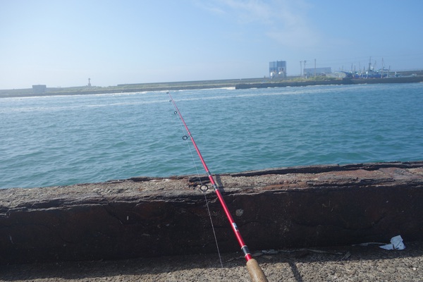 おじじだって海水浴キャンプしたいのですよ・・