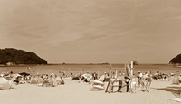 おじじだって海水浴キャンプしたいのですよ・・