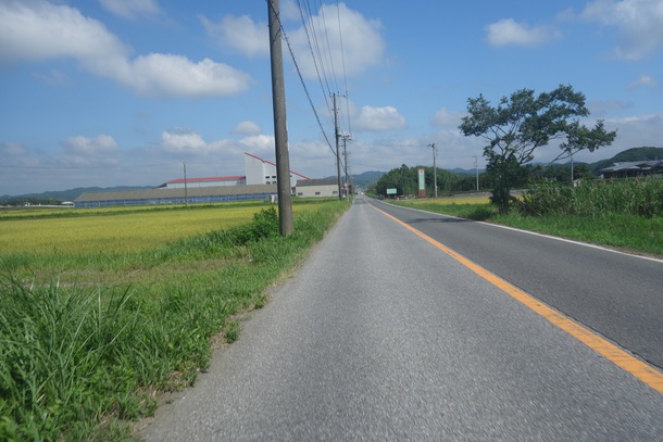 おじじだって海水浴キャンプしたいのですよ・・