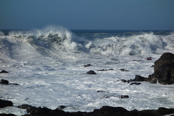 おじじだって海水浴キャンプしたいのですよ・・