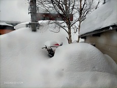 ☆11年ぶりの大雪・・・