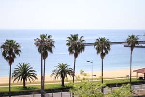 Golden Week in KATAZOE