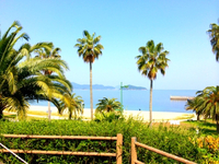 設営完了！ 2014/05/03 15:12:00