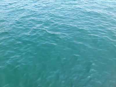 澄みっ澄み